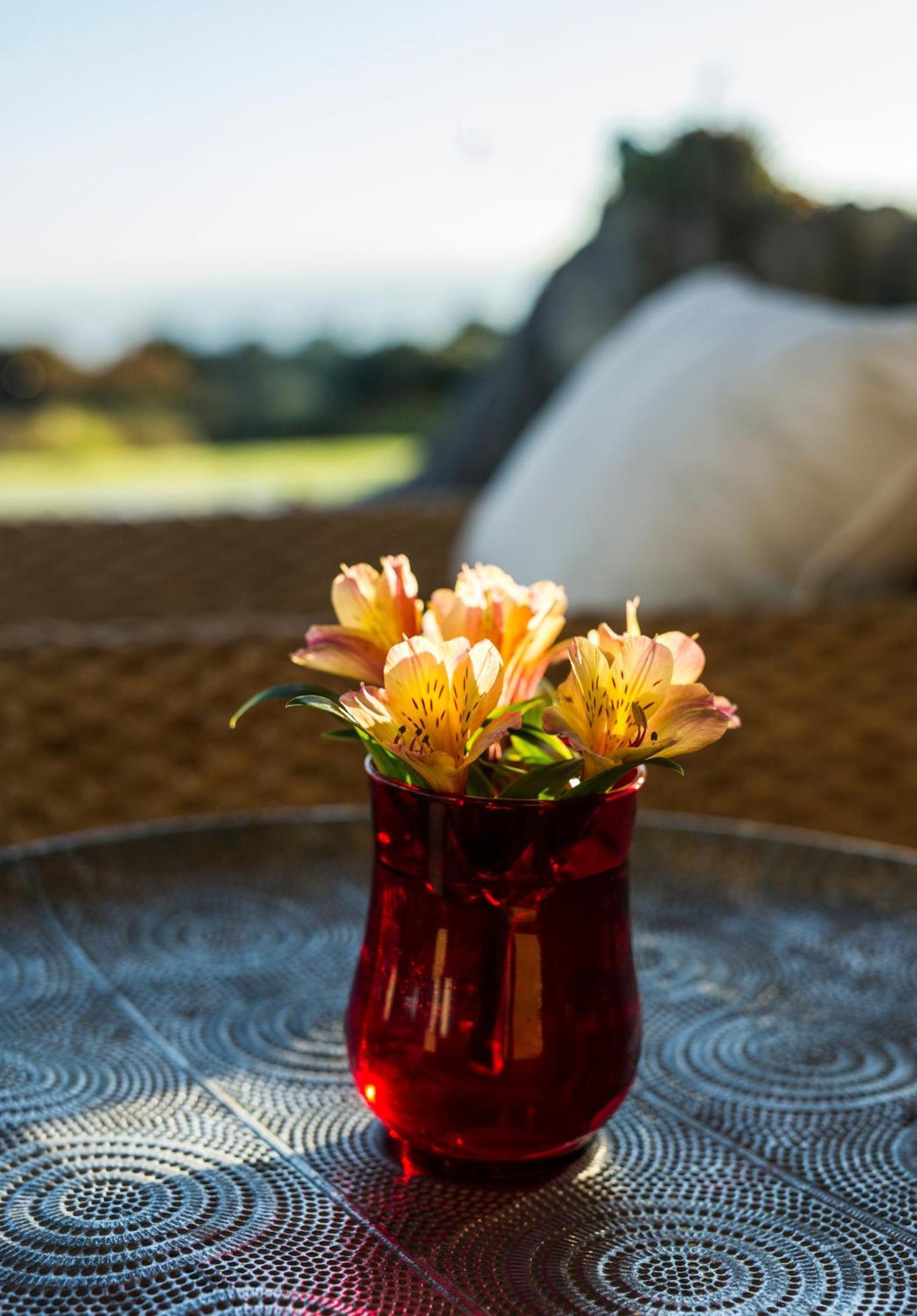 Matapouri & Tutukaka Spectacular Coastal Views- Aroha Luxury Guest Suite Екстериор снимка